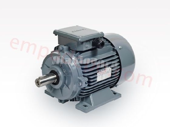 ELEKTRİK  MOTORULARI  05 KW, 18  KW
